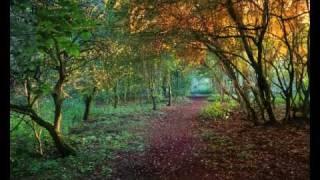 Medwyn Goodall - The Lands Beyond (Clan - A Celtic Journey)