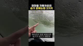 장마철 자동차유리 습기 제거법 3가지