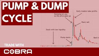 Pump and Dump Stocks Explained in 10 Mins