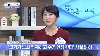 육식보다 채식이 건강에 더 좋다? 그 진실은? [광화문의 아침] 237회