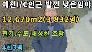 경북 예천군 예천부동산 예천땅 시골땅 매매