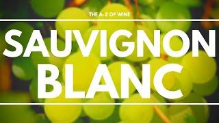 What is SAUVIGNON BLANC - Everything you need to know about this delicious grape.