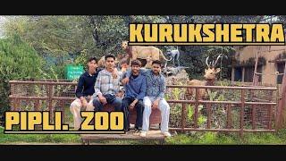 Kurukshetra.(Pipli zoo(2025). Vlog in zoo parak. live Tiger metting.#kurukshetra #all #Animal#Parak