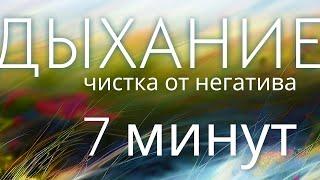 [Алёна Ель] 7 минут | дыхательная практика + чистка от негатива + расслабление