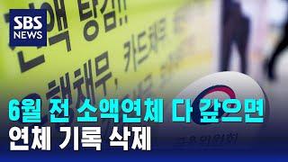 6월 전 소액연체 다 갚으면 연체 기록 삭제 / SBS