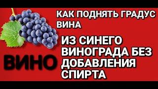 КАК ПОДНЯТЬ ГРАДУС В ДОМАШНЕМ вине из синего винограда . СНИМАЕМ ВИНО С ОСАДКА