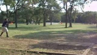 Disc Golf Hot Shots 2