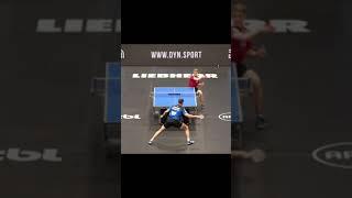 #tabletennis #tennisdemesa #tabletennisclips #pingpong #kalberg