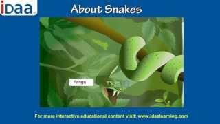 Learn About Snakes CBSE Class 5 (www.iDaaLearning.com)