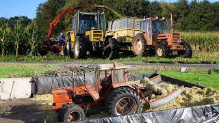 Maishäckseln 2023 | Renault 498 + 851-4 + 751 + 103.14 | Karzijn Doornspijk | Harvesting maize