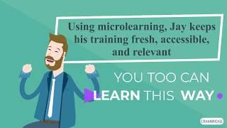 MICROLEARNING