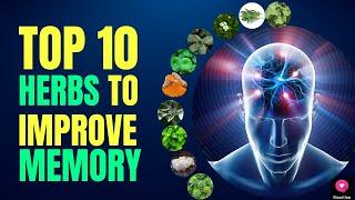 Top 10 Herbs That Improve Your Memory Naturally | Blissed Zone