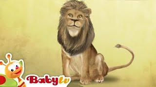 Lion ​ Animal Party | Animal for Toddlers @BabyTV