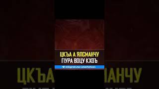 УМАР ХЕХОЕВ "ЦКЪА А ЯЛСМАНЧУ Г1УРА ВОЦУ КХОЪ ХЬЕХАМ"