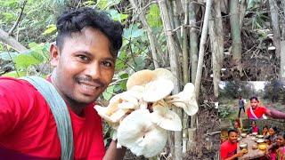 Mushroom VeryTasty | Wild Bamboo Mushroom Cooking And Eating Show |Odisha Rural Village Vlog