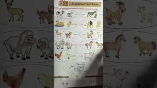 Animals and their young one #animals #kids #gk #kids