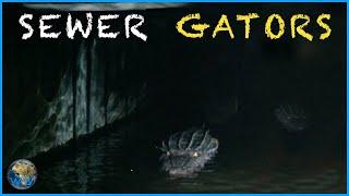 Alligators in the Sewers: Not Just An Urban Legend.