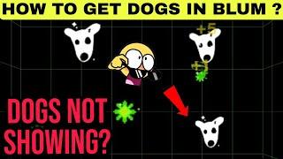 How To Get Dogs Token In Blum Me Dogs Token Kaise Milega | Dogs Not Showing In Blum Why ?