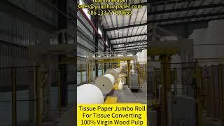 Original factory of tissue paper jumbo rolls supply tissue raw material for tissue converting