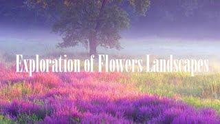 Exploration of Flowers Landscapes. #music,#relaxing ,#inspire,#art,