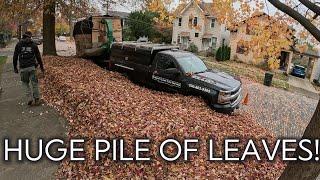 3 Man Fall Cleanup || Huge Dusty Leaf Pile!