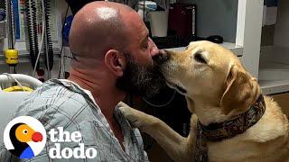 Dog Refuses To Leave His Dad's Hospital Bed | The Dodo