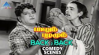 Paalum Pazhamum Tamil Movie Back To Back Comedy Scenes | Sivaji | MR Radha | TS Balaiah | Manorama