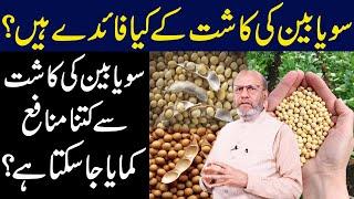 What is the benefits of Soybean growing and Farming | Dr. Muhammad Arshad Official