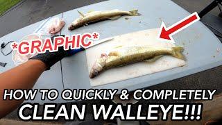 How to QUICKLY & COMPLETELY Clean Walleye with a Fixed Blade!!! (NO WASTE) ***GRAPHIC***