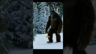 Bigfoot Encounter : Unveiling the mysteries of the pacific Northwest !