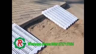 Goat farm plastic slat floor equipment slatted flooring for goats