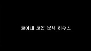 로아네 코인분석 : 조정에 관하여