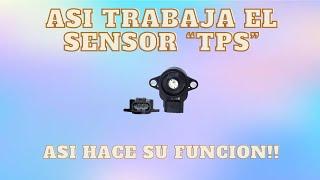 COMO funciona EL sensor "TPS" / DATOS importantes QUE tienes QUE saber!!