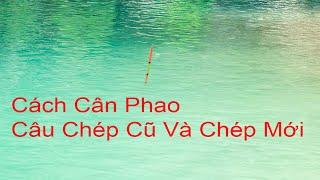 Hướng Dẫn Cân Phao Câu Đài Câu Cá Chép Cũ và Cá Chép Mới