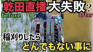 [緊急事態]乾田直播失敗⁉︎稲刈りしてみたらとんでもない結果に！失敗確定の直播き田んぼに三菱の旧型コンバインで挑む！