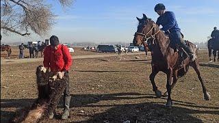 Аламан Улак Толька жерден көтөрбөй болду !!! Бишкек/ Дача Суу (18-12-21)