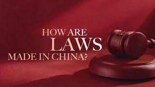 Documentary: How are laws made in China?