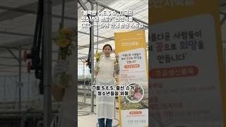 "몰락한 S.E.S 슈, 지금은 청소년의 멘토?" 건강식품 CEO……슈의 인생 반전 스토리 #슈 #ses #사업 #도박 #봉사 #ceo #엔터 #가수 #결혼