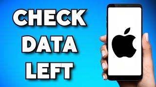 How To See How Much Data You Have Left on iPhone (2024 Guide)