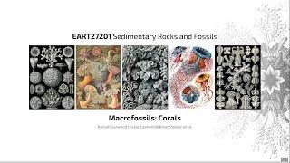 Corals, Video 1 - EART27201 - Sedimentary Rocks and Fossils