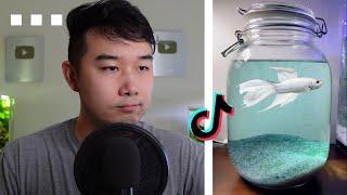 TikTok's BETTA FISH Jars are CRAZY | Fish Tank Review 230