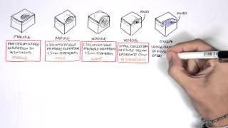 Dermatology - Lesion Terminology