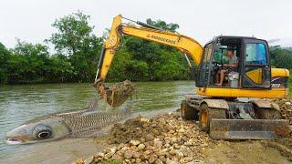 Fishing Technology Exciting: Use Large Excavator Build Fish Trap With Grass Catch Big Fish