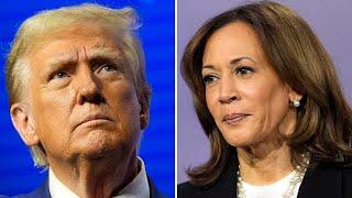 VP Kamala Harris, former President Donald Trump await 2024 Election results