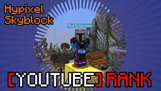 10 FAKTEN & MYTHEN zum YOUTUBE RANK  Hypixel Skyblock Deutsch | Multidissimo