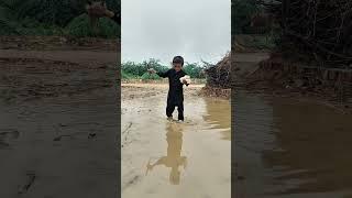 barish mein kabutar or bache ko Rescue Kiya  kabutar sad video #trending #shorts #viral