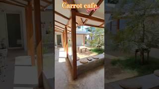 chiangmai cafe tour ; carrot  cafe ;'치앙마이 갬성카페 당근카페 #chiangmai #세계여행 #한달살기 #해외여행