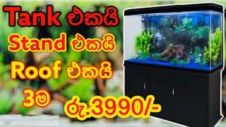 Fish tanks in Sri Lanka | Best price in Sri Lanka | Aquarium | Fish farm | පොකුණු