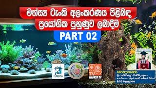 මත්සය්‍ය ටැංකි අලංකරණය පිළිබඳ ප්‍රයෝගික පුහුණුව ලබාදීම | Part 02