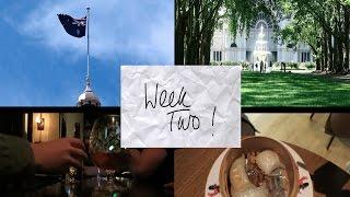 Lainevlog // Week Two // Melbourne // Walking Tour & Chapel Street Exploring